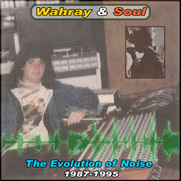 The Evolution of Noise, 1987-1995