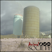 Animal Society Album, 2010